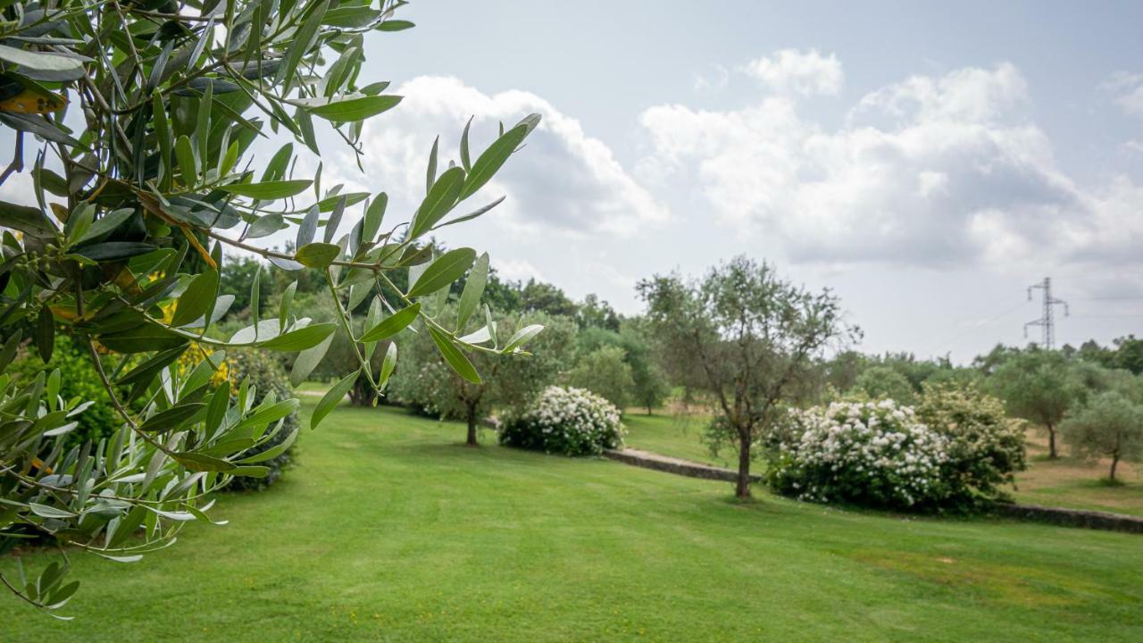 Poggio Al Palio Aparthotel San Lorenzo a Merse ภายนอก รูปภาพ